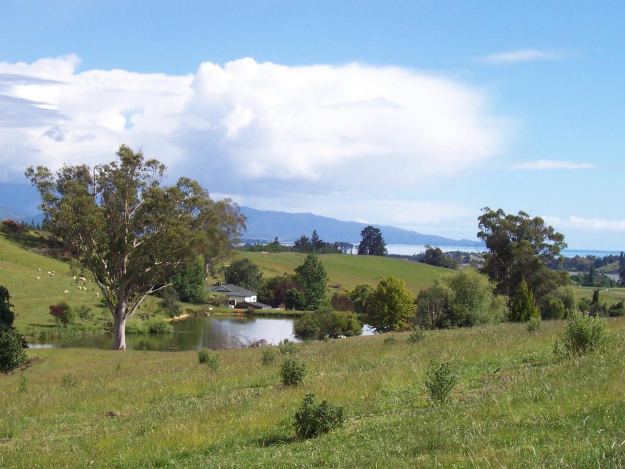 Tasman Farmstay Retreat Glenmhor المظهر الخارجي الصورة